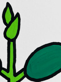 Close-up of the new green buds and leaves in Little Ficus
