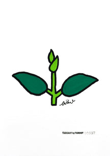 Little Ficus, TAROART by TAROUT 00057, acrylic gouache on illustration board by TAROUT, 2026, featuring a green ficus cutting with two leaves and new buds on a white background