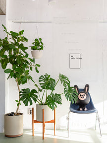 Approximate room-scale guide highlighting this artwork’s A4 size (297 × 210 mm)